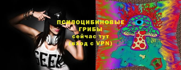 МДПВ Няндома